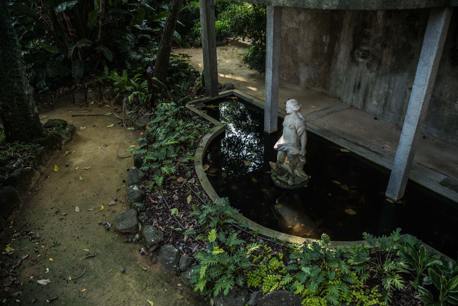 Jardim Botânico Tropical, 2021. Fotos: © Rui Sérgio Afonso